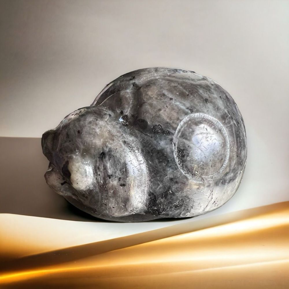 Larvikite‎ Crystal Lady Bug Carving